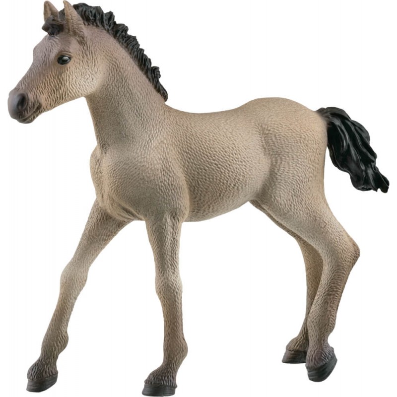 Schleich 13949 - Horse Club Criollo Definitivo Fohlen