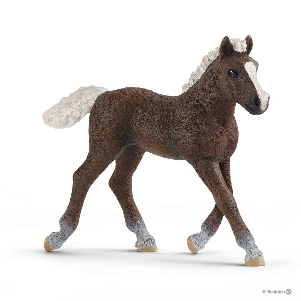 Schleich 13899 - Horse Club Schwarzwälder Fohlen
