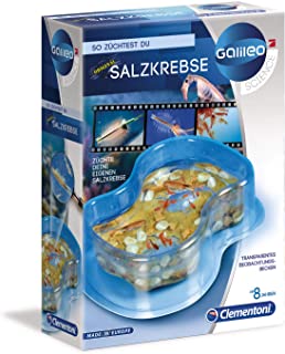 GALILEO Original Salzkrebse ab 8 Jahren